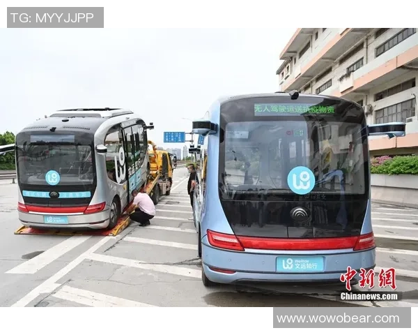 广州攀岩队比赛经验深度对比与分析探索之路