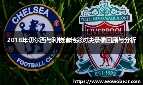 bsports登录入口