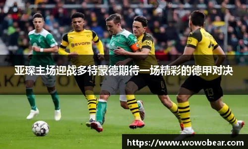 bsports官网入口