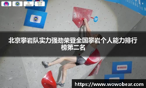 bsports官网入口