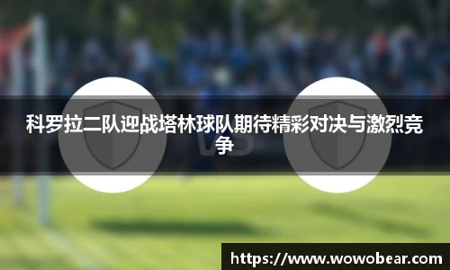 bsports体育